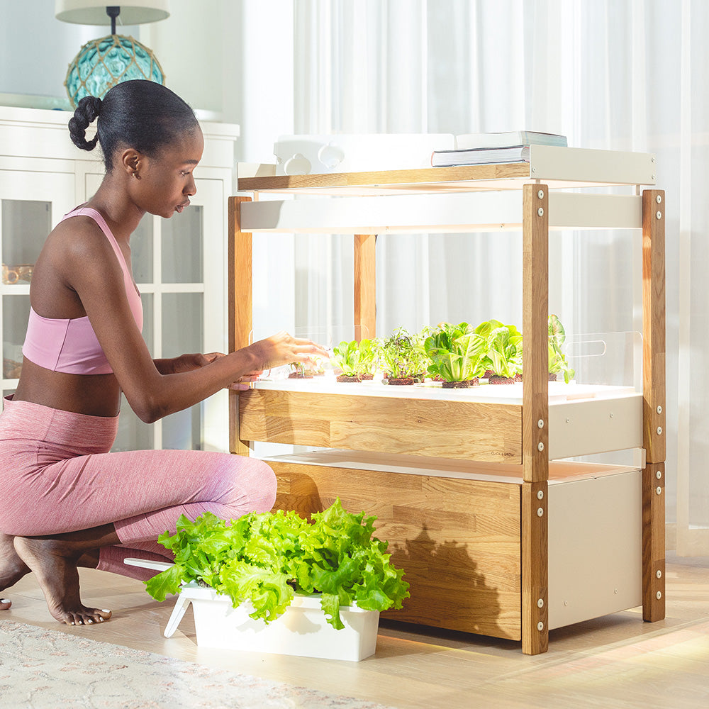 Click & grow 25 Indoor Kräutergarten Szene Frau Pflege