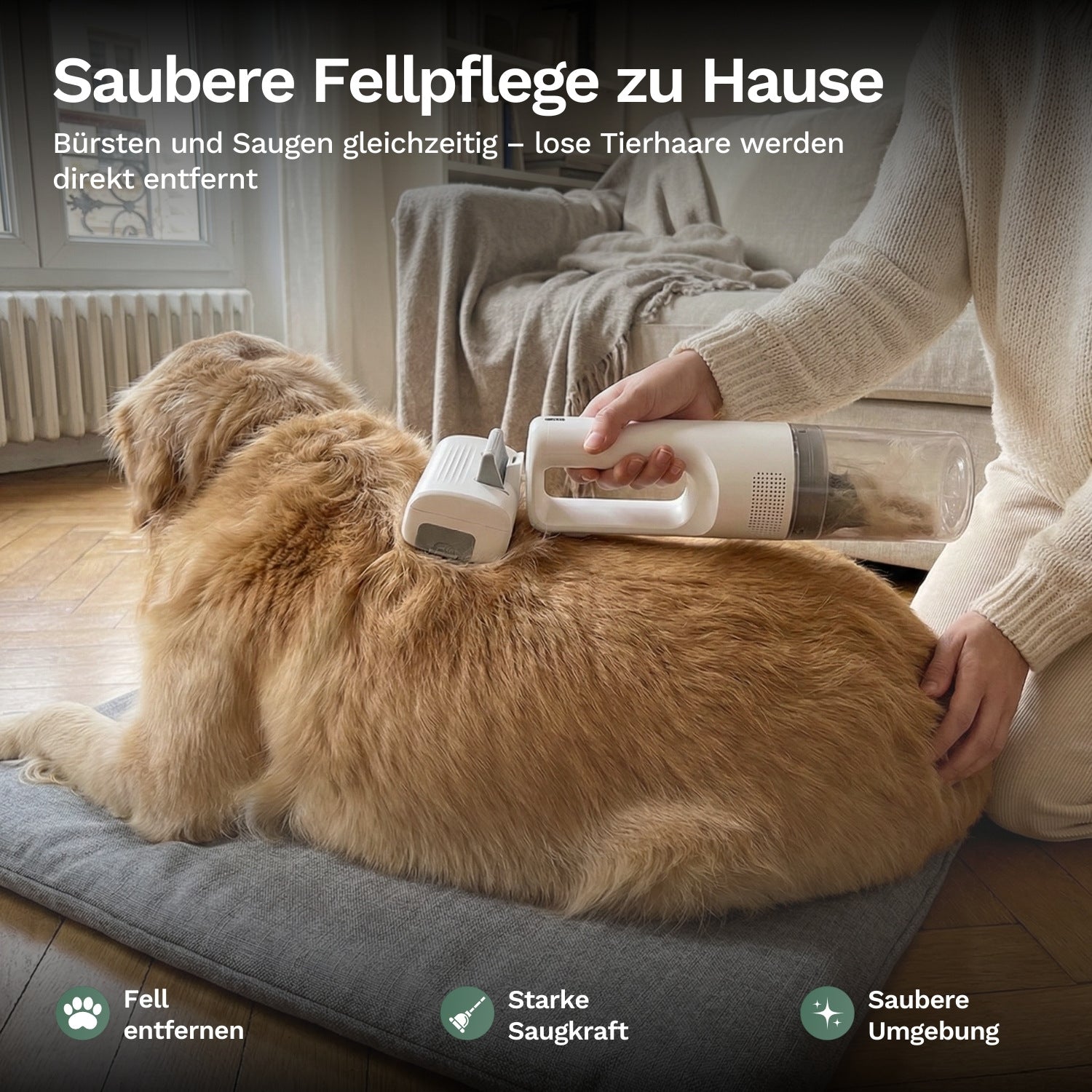 Person bürstet und saugt gleichzeitig Tierhaare mit Handstaubsauger vom Hund, sorgt für gründliche Fellpflege und saubere Wohnumgebung zuhause.